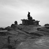 dailyPhoto11
